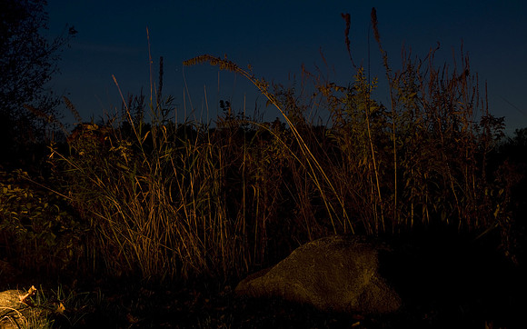00CL7456-Edit-Edit