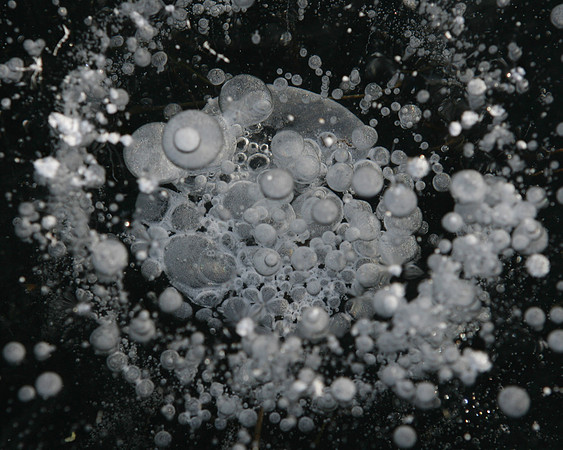00CL0286