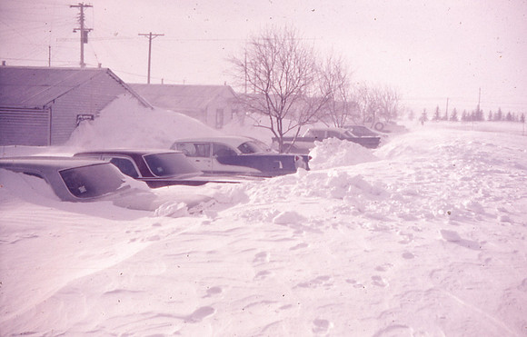blizz 66