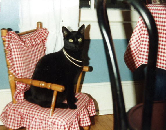 xEmail0068 kitty