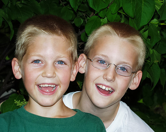 20000601 Z R faces in tree2