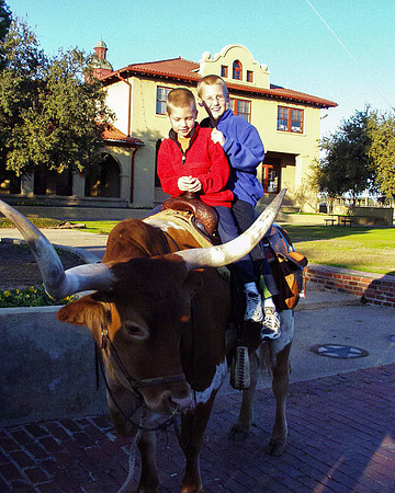 20001122 Zand R on Cattle
