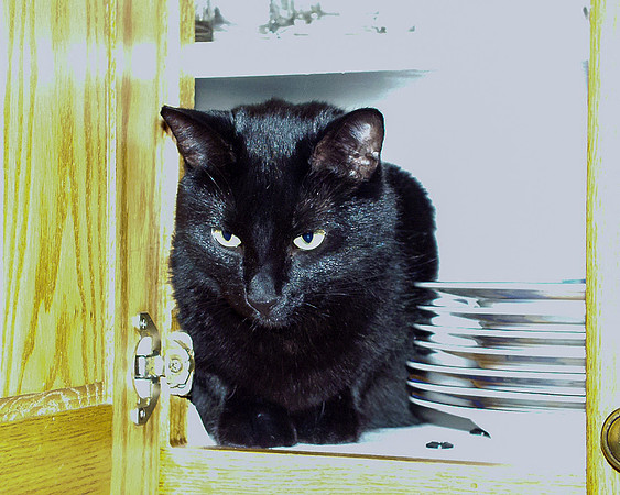 20001228 Ash in cupboard