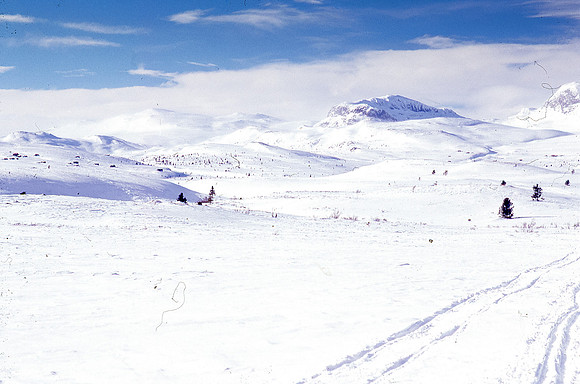 Slides004
