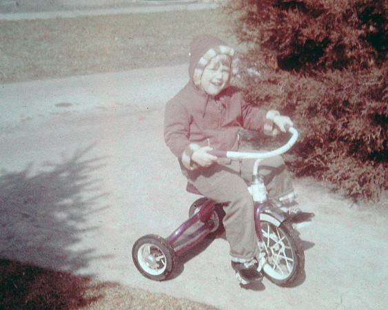 19631000 Alaina 3.5 yrs