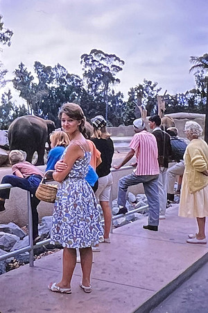 19640800 Belita at San Diego Zoo