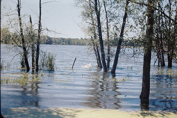 19640800 lakes